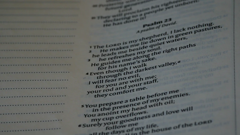 법률 문서 분석 이미지