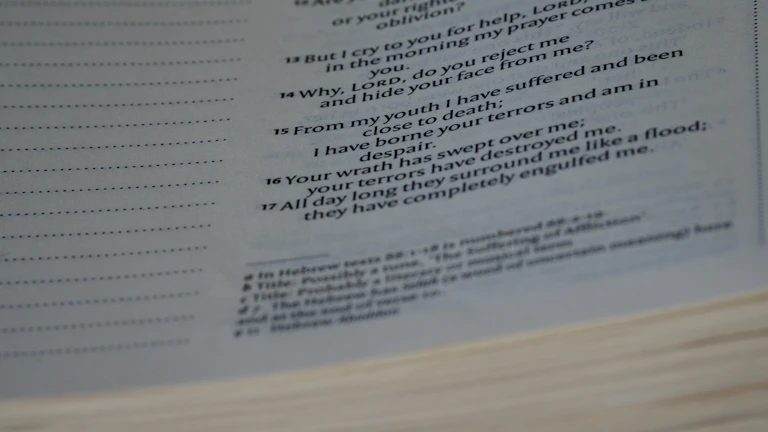 2026년 불법 점유자 강제집행 절차 및 비용 5