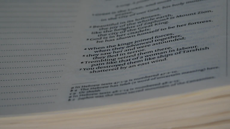 기업 회생 채무 탕감 최대화 전략 15