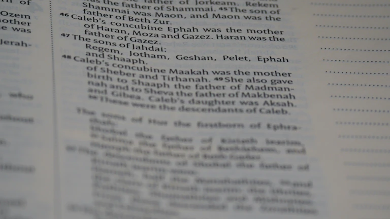 못 받은 양육비 강제집행으로 받아내는 법 15