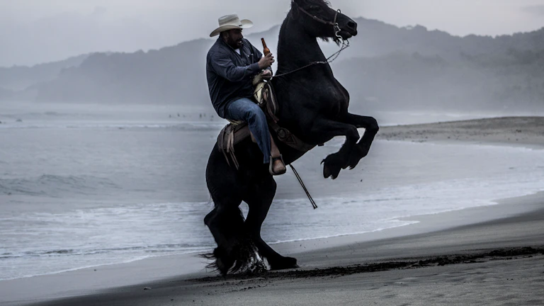 2026년 개정법 기준, 형량 감경 위한 정상 참작 사유 확보 전략 17