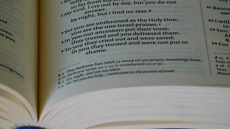 금융 차트와 법률 서적