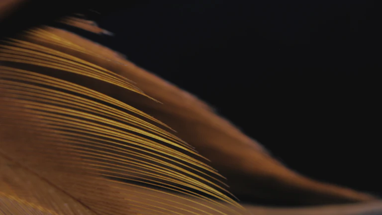 법인파산 절차와 연대보증 채무 해소 3 판사봉과 법전