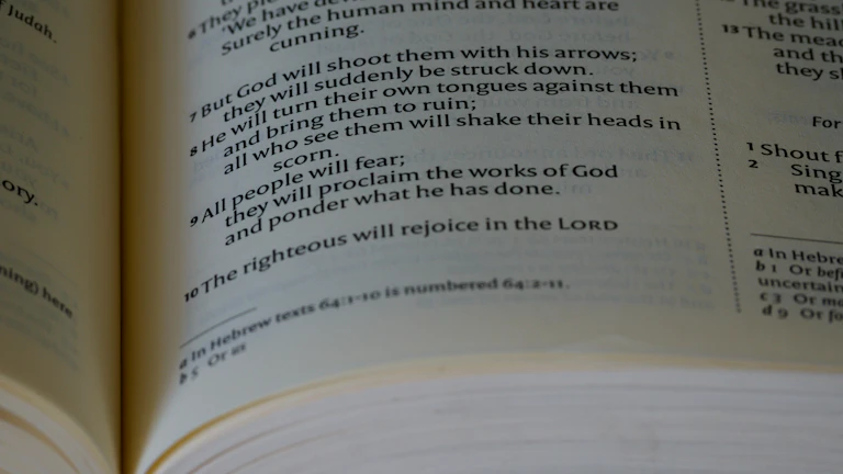 법률 서적과 법봉