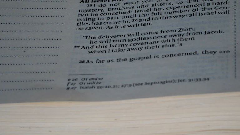 법률 서류와 판사봉