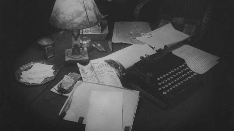 2026년 개정법 적용, 면허 취소 위기 실형 면하는 법 1