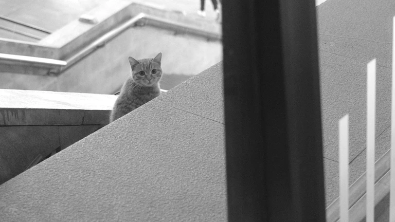 승소율 높이는 핵심 증거 자료 11