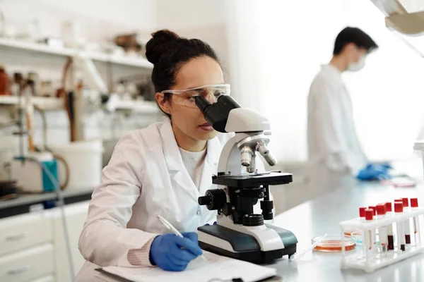 DNA 검사 결과지와 증거서류