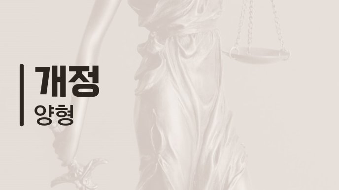 개정 양형