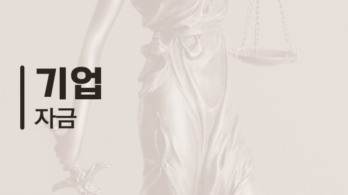 기업 자금