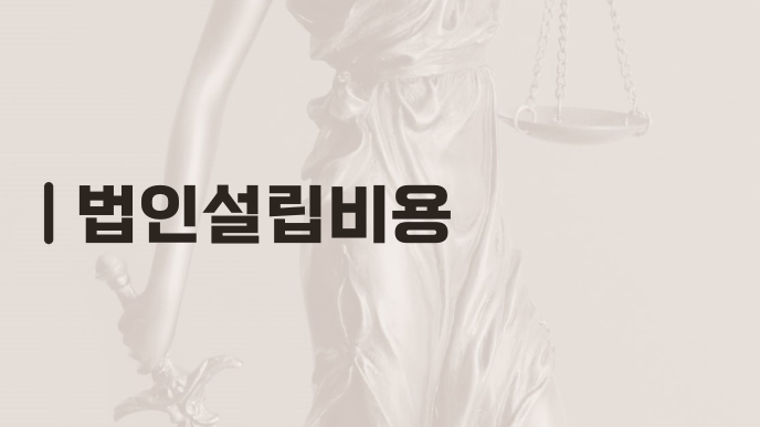 법인설립비용