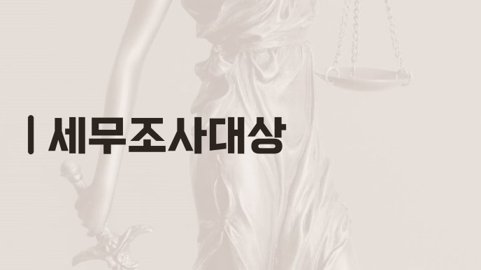 세무조사대상