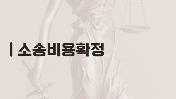 소송비용확정