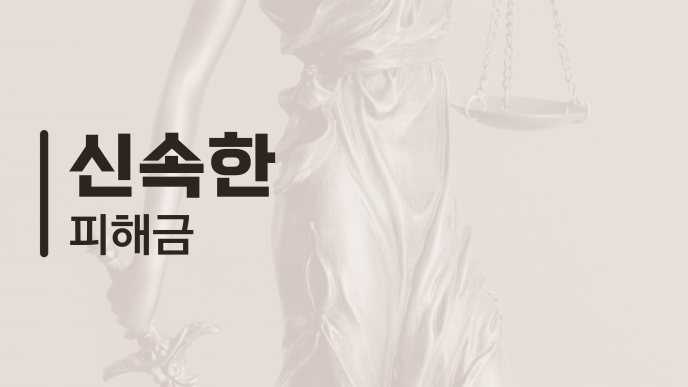신속한 피해금