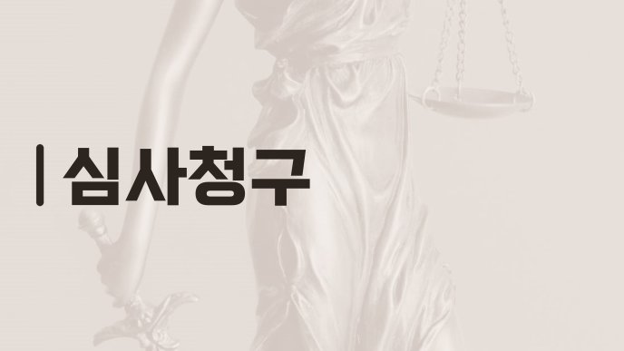 심사청구