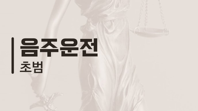 음주운전 초범