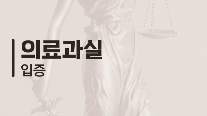 의료과실 입증