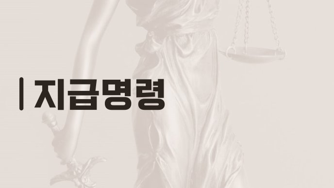 지급명령