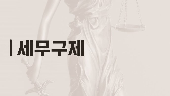 세무구제