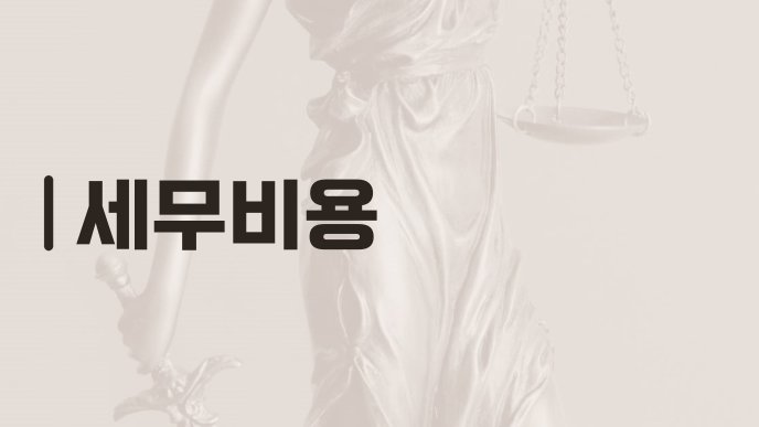 세무비용