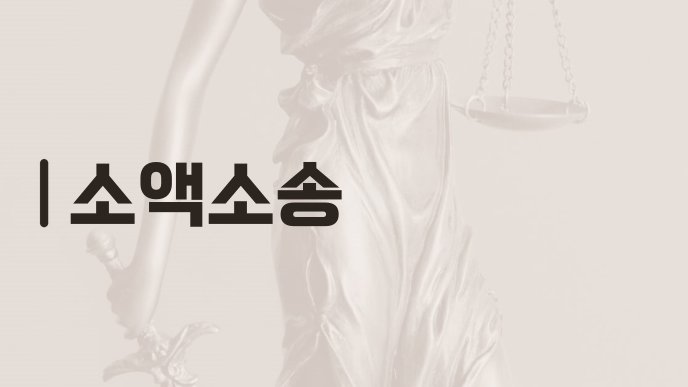 소액소송