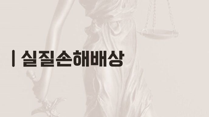 실질손해배상