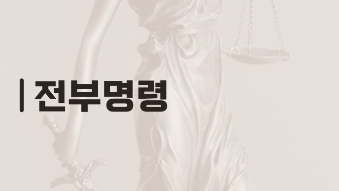 전부명령