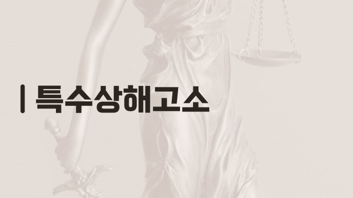 특수상해고소